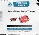 Astra WordPress Theme