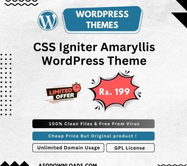 CSS Igniter Amaryllis WordPress Theme