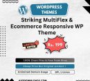 Striking MultiFlex & Ecommerce Responsive WP Theme