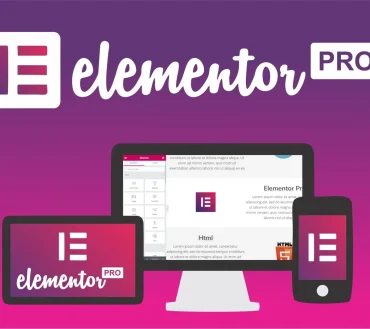 Elementor PRO WordPress Page Builder + Pro Templates