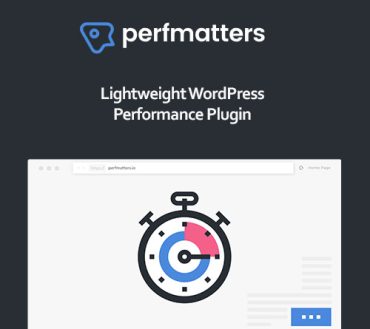 Perfmatters WordPress Plugin