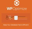 WP-Optimize Premium