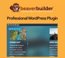 Beaver Builder Professional WordPress Plugin