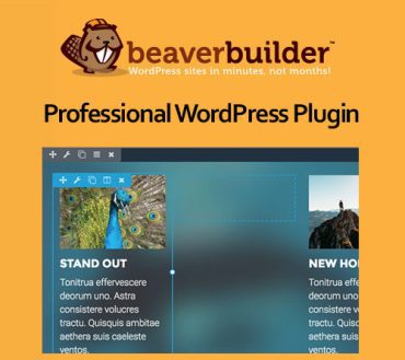 Beaver Builder Professional WordPress Plugin