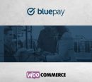 BluePay Payment Gateway