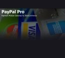 PayPal Pro Payment Module for WooCommerce