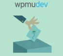 WPMU DEV Post Voting